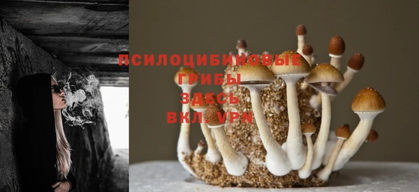 стафф Заволжье