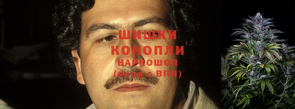мескалин Заводоуковск