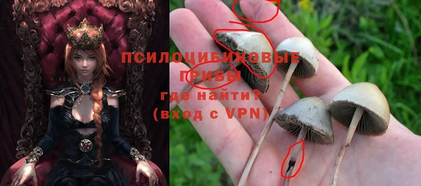 спиды Заволжск
