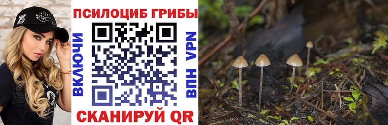 купить наркотик  Волгодонск  Псилоцибиновые грибы ЛСД 