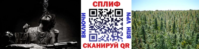 Каннабис тримм MEGA зеркало Волгодонск